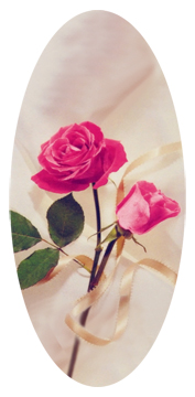 DG5000-508 Ribbon and Rose